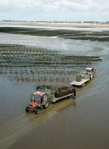 design sans titre (17)