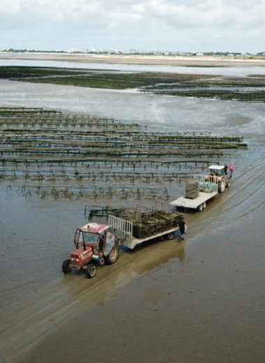 design sans titre (17)