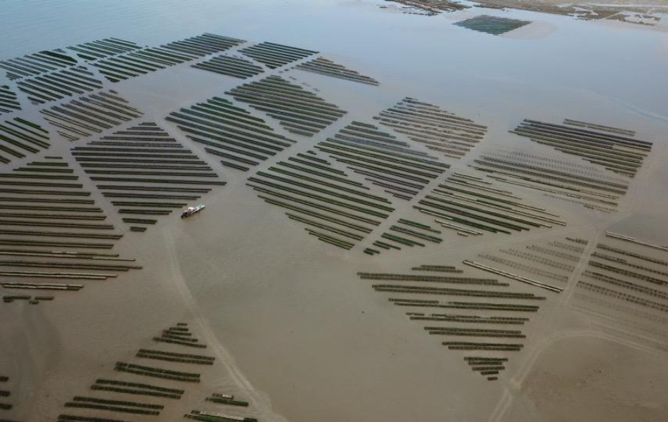 design sans titre (20)