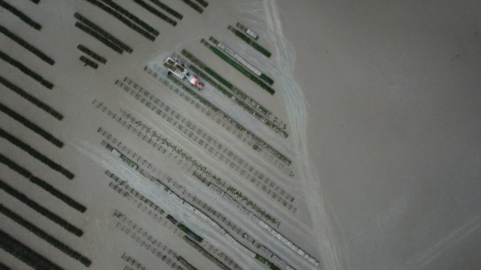 whatsapp image 2025 08 21 at 18.08.55